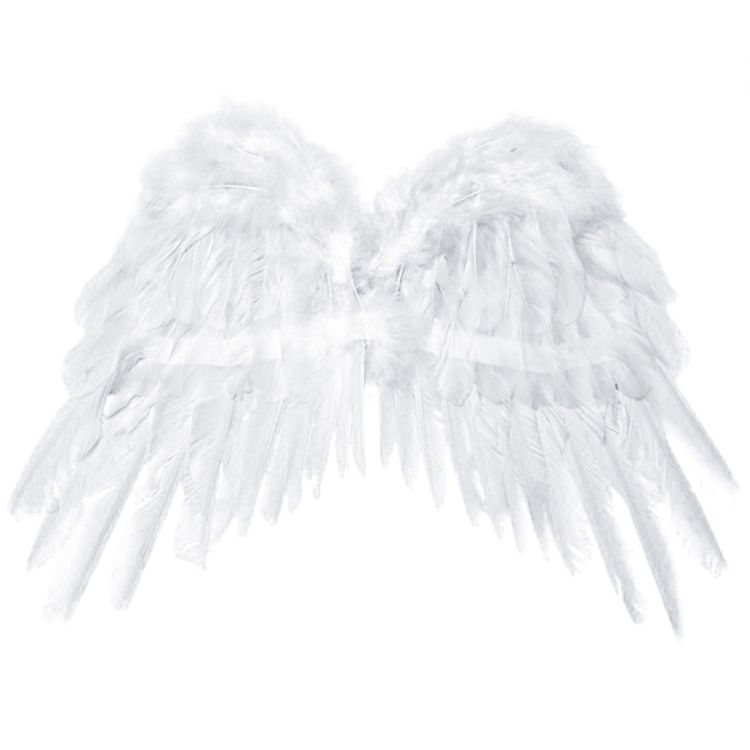 Obrázek k výrobku 26567 - Andělská křídla