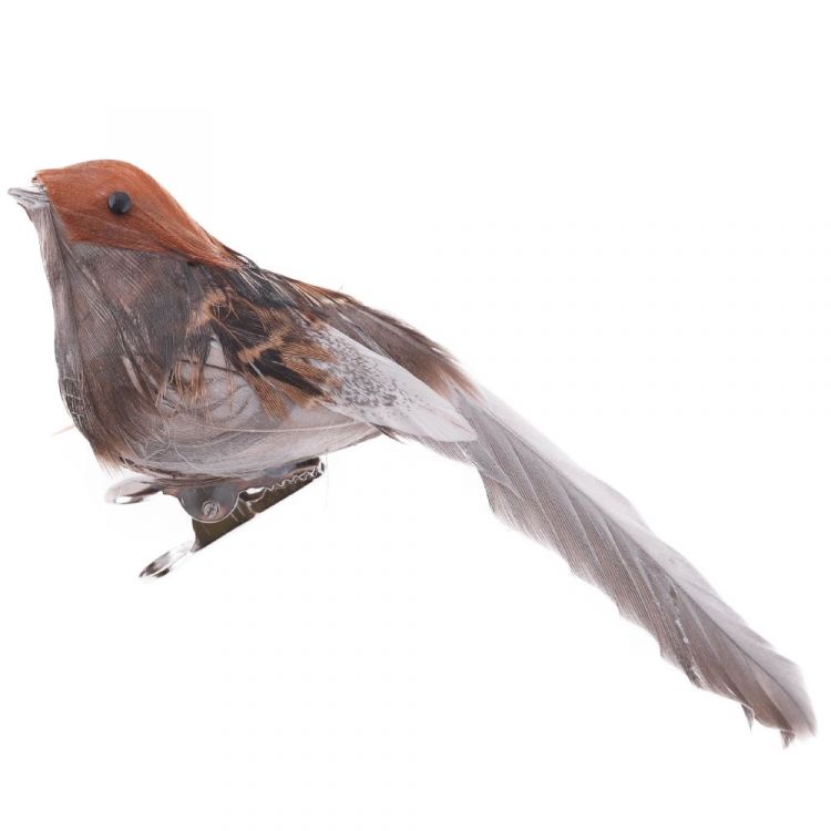 Obrázek k výrobku 17978 - Ptáček s klipem