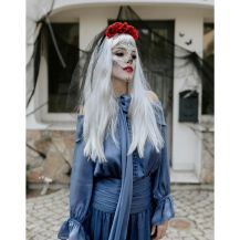 Obrázek k výrobku 35611 - Čelenka Růže