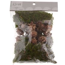 Obrázek k výrobku 29051 - Dekorativní sada 100g