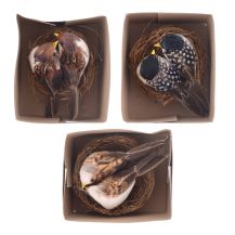 Obrázek k výrobku 34330 - Hnízdečko s ptáčky 9cm