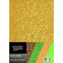 Obrázek k výrobku 22356 - Papír na vizitky A4 200g