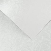 Obrázek k výrobku 13550 - Papír na vizitky A4 230g