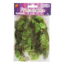 Obrázek k výrobku 32838 - Peří kropenaté