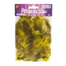 Obrázek k výrobku 32839 - Peří kropenaté
