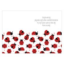 Obrázek k výrobku 34206 - Přání k narozeninám
