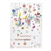 Obrázek k výrobku 32264 - Přání k narozeninám