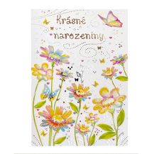Obrázek k výrobku 32262 - Přání k narozeninám