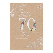 Obrázek k výrobku 31580 - Přání k narozeninám