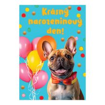 Obrázek k výrobku 35853 - Přání k narozeninám
