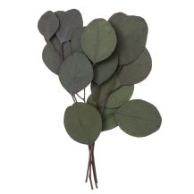 Obrázek k výrobku 25688 - Přízdoba Eukalyptus NATURE