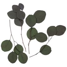 Obrázek k výrobku 25688 - Přízdoba Eukalyptus NATURE